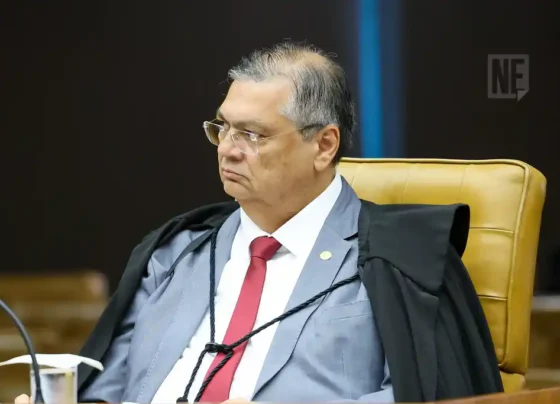 Ministro Flávio Dino durante Sessão plenária do STF - 19/12/2024