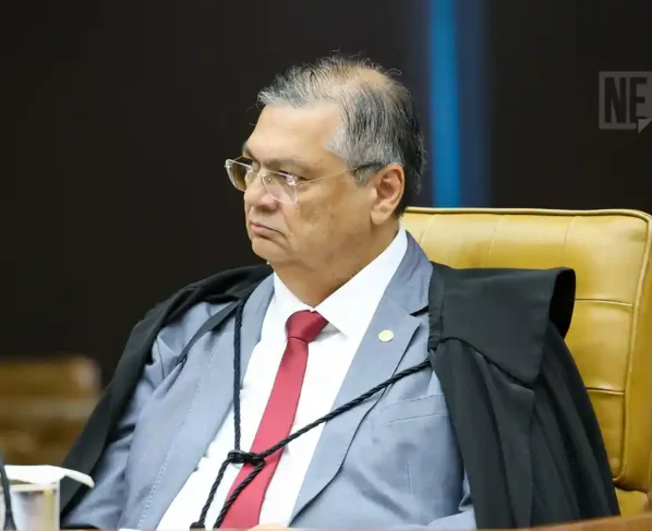 Ministro Flávio Dino durante Sessão plenária do STF - 19/12/2024